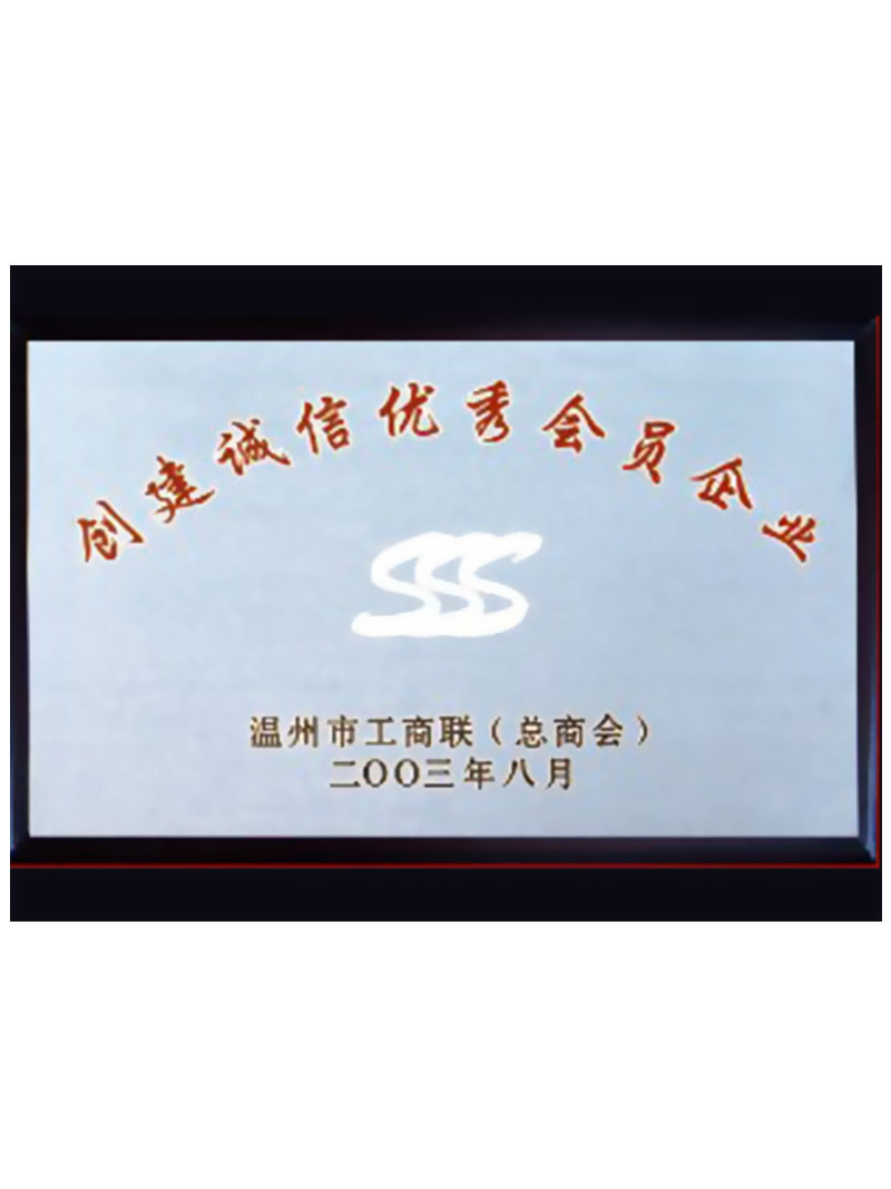 2003年優(yōu)秀企業(yè)